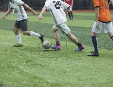 江门税务打,税路通,粤通四海,BBIN真人试玩,BBIN真人游戏平台,BBIN真人视讯,BBIN真人官网