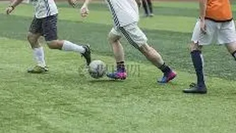 BBIN真人试玩 产品 102501 srb