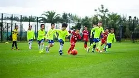 BBIN真人试玩 资讯 105319 5wq