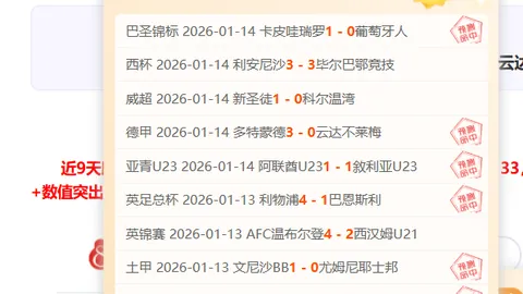 王健期待周誌豪取得卓越成绩，此成就有望鼓舞楊瀚森明年竞选获胜